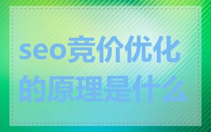 seo竞价优化的原理是什么