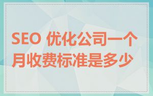 SEO 优化公司一个月收费标准是多少