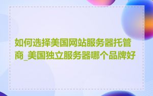 如何选择美国网站服务器托管商_美国独立服务器哪个品牌好