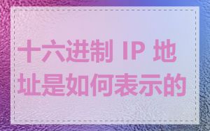 十六进制 IP 地址是如何表示的