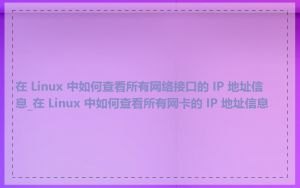 在 Linux 中如何查看所有网络接口的 IP 地址信息_在 Linux 中如何查看所有网卡的 IP 地址信息