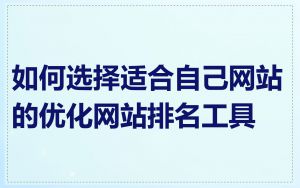 如何选择适合自己网站的优化网站排名工具