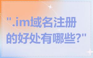 ".im域名注册的好处有哪些?"