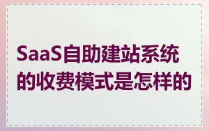 SaaS自助建站系统的收费模式是怎样的