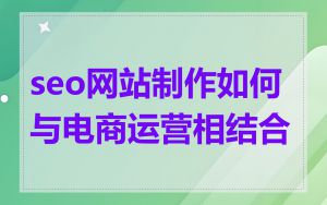 seo网站制作如何与电商运营相结合
