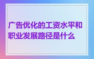 广告优化的工资水平和职业发展路径是什么
