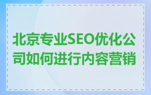 北京专业SEO优化公司如何进行内容营销
