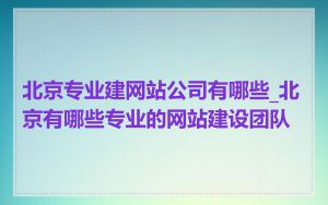 北京专业建网站公司有哪些_北京有哪些专业的网站建设团队