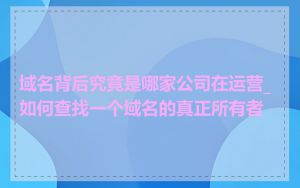 域名背后究竟是哪家公司在运营_如何查找一个域名的真正所有者