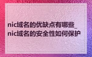 nic域名的优缺点有哪些_nic域名的安全性如何保护