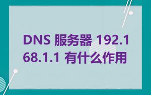 DNS 服务器 192.168.1.1 有什么作用