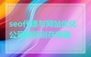 seo代理与网站优化公司的区别在哪里