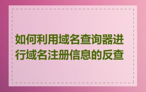 如何利用域名查询器进行域名注册信息的反查