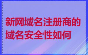 新网域名注册商的域名安全性如何