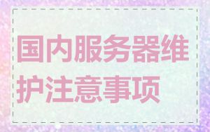 国内服务器维护注意事项