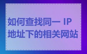 如何查找同一 IP 地址下的相关网站
