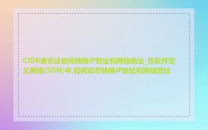 CIDR表示法如何转换IP地址和网络地址_在软件定义网络(SDN)中,如何动态转换IP地址和网络地址