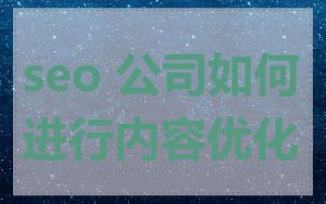 seo 公司如何进行内容优化