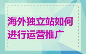 海外独立站如何进行运营推广