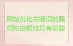 网站优化关键词的黑帽和白帽技巧有哪些