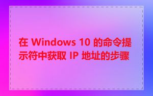 在 Windows 10 的命令提示符中获取 IP 地址的步骤