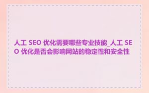 人工 SEO 优化需要哪些专业技能_人工 SEO 优化是否会影响网站的稳定性和安全性