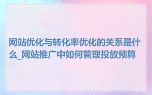 网站优化与转化率优化的关系是什么_网站推广中如何管理投放预算