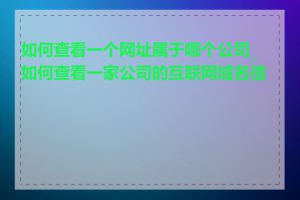 如何查看一个网址属于哪个公司_如何查看一家公司的互联网域名信息