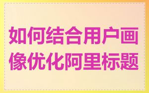如何结合用户画像优化阿里标题