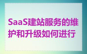 SaaS建站服务的维护和升级如何进行