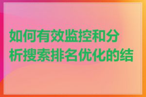 如何有效监控和分析搜索排名优化的结果