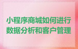 小程序商城如何进行数据分析和客户管理