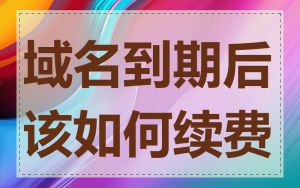 域名到期后该如何续费
