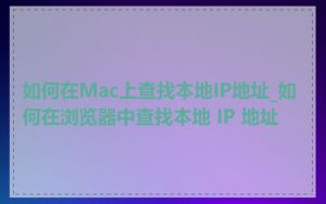 如何在Mac上查找本地IP地址_如何在浏览器中查找本地 IP 地址