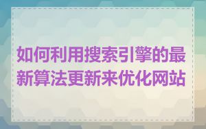 如何利用搜索引擎的最新算法更新来优化网站