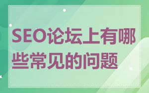 SEO论坛上有哪些常见的问题