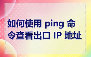 如何使用 ping 命令查看出口 IP 地址