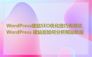 WordPress建站SEO优化技巧有哪些_WordPress 建站后如何分析网站数据