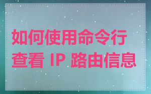 如何使用命令行查看 IP 路由信息