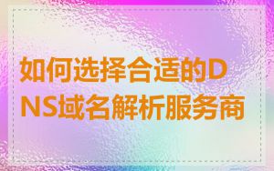 如何选择合适的DNS域名解析服务商