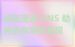 域名遭遇 DNS 劫持会有哪些表现