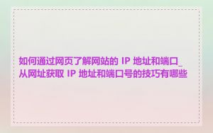 如何通过网页了解网站的 IP 地址和端口_从网址获取 IP 地址和端口号的技巧有哪些
