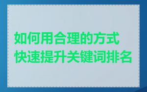 如何用合理的方式快速提升关键词排名