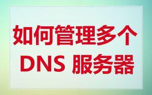 如何管理多个 DNS 服务器