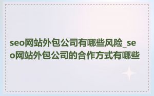 seo网站外包公司有哪些风险_seo网站外包公司的合作方式有哪些