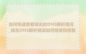如何快速查看域名的DNS解析情况_域名DNS解析错误如何排查和修复