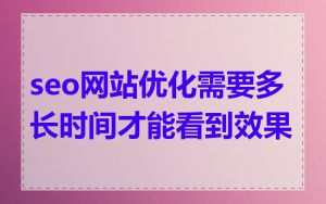 seo网站优化需要多长时间才能看到效果