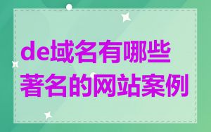 de域名有哪些著名的网站案例