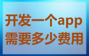开发一个app需要多少费用