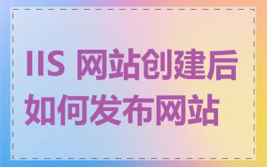 IIS 网站创建后如何发布网站